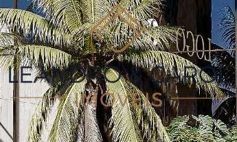 Imagem 6: RESIDENCIAL BLACK DIAMOND