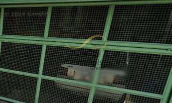 Imagem: Casa à venda no bairro Santa Terezinha