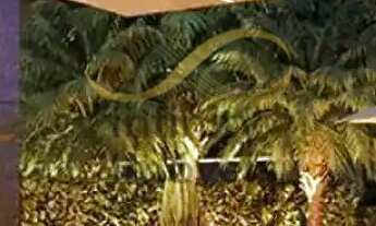 Imagem 4: Apartamento à venda no bairro Serra - Belo Horizonte/MG