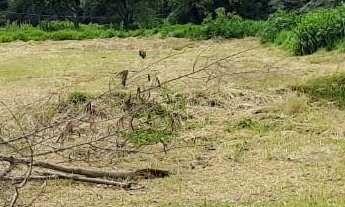 Imagem 3: Lindo Terreno Plano em um dos melhores Condomínios de BOTUCATU