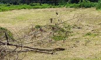 Imagem 2: Lindo Terreno Plano em um dos melhores Condomínios de BOTUCATU