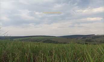 Imagem 3: Fazenda Piracicaba