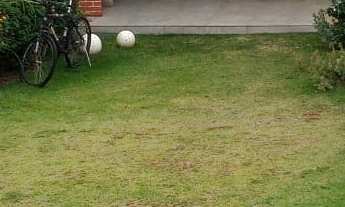 Imagem: Edícula em Amplo Terreno