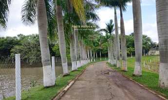 Imagem: FAZENDA LEITEIRA A VENDA NA REGIÃO DE ITAPETININGA