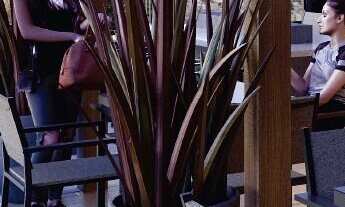 Imagem 4: Apartamento Alto Padrão - MOVE!