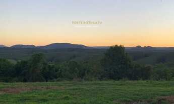 Imagem 3: Sítio com excelente localização com mina d´agua