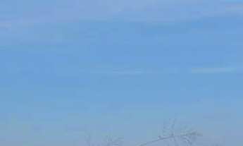 Imagem: Terreno Lote Rural