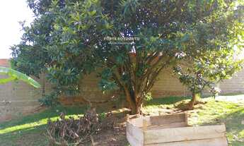 Imagem 3: Terreno em Nova Califórnia II - T, Botucatu/SP