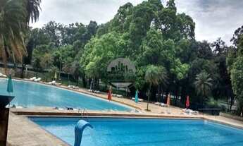 Imagem: Apartamento à venda no bairro Jardim Jussara