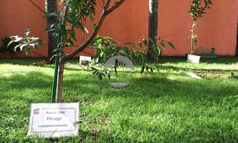 Imagem 5: Apartamento para alugar no bairro Jardim Vazani - São Paulo/SP