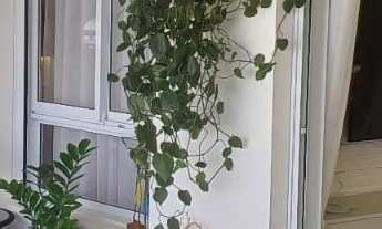 Imagem 3: Apartamento à venda com 119m², 3 quartos e 2 vagas Belenzinho