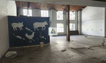 Imagem 6: Pavilhão/Galpão Salão Comercial em Campinas, São José/SC