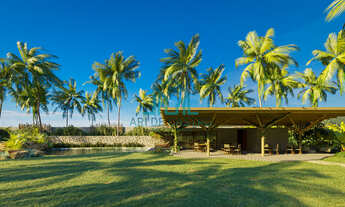 Imagem 6: Terreno a Beira-mar na Praia do Patacho Pé na Areia - Rota Ecológica dos Milagres - Alag