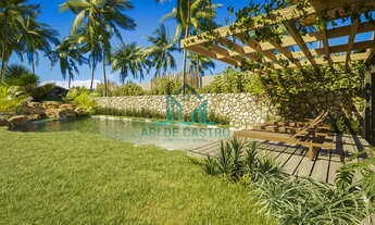 Imagem 7: Terreno a Beira-mar na Praia do Patacho Pé na Areia - Rota Ecológica dos Milagres - Alag
