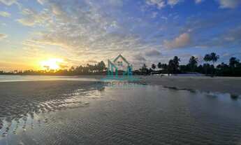 Imagem 3: Terreno à Beira-mar à venda na Praia de Paripueira com 1.343m² - Alagoas