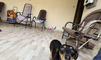 Imagem 6: Casa Alvenaria em Vila Nova Campo Grande, Campo Grande/MS