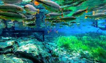 Imagem: Chácara no Loteamento Três Rios