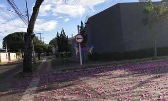 Imagem 4: Linda casa no Flamboyant