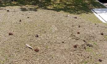 Imagem 5: Residencial Alphaville 10