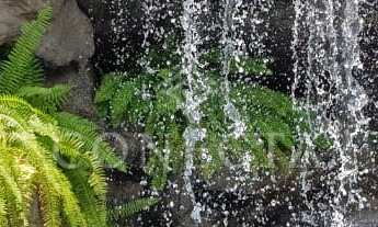 Imagem 6: Residencial Alphaville 10