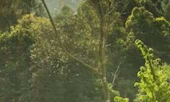 Imagem 3: Condomínio Itahyê, 450M² de Área Construída na Avenida Paisagem