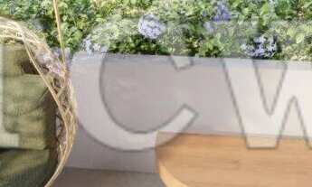 Imagem 3: Apartamento à venda no bairro Vila Mariana - São Paulo/SP, Zona Sul