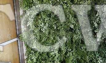 Imagem 2: Apartamento à venda no bairro Vila Mariana - São Paulo/SP, Zona Sul