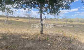 Imagem: Sítio Próximo ao Retiro sentido Irará