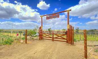 Imagem: Terreno de Chácaras na cidade de Retiro