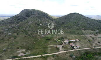 Imagem: Fazenda com 113 Tarefas em Feira de Santana