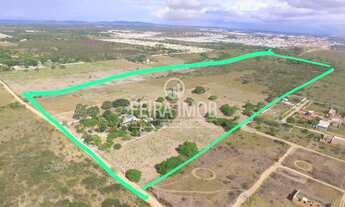 Imagem: Chácara com área de 29 hectares Feira