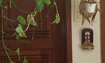 Imagem 5: Sargento Boening - Vendo Apto 02 Quartos