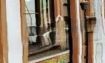 Imagem: Apartamento Duplex em Quitandinha, Petrópolis/RJ