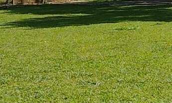 Imagem 6: Itaipava Terreno Com 60.000 mts Local Privilegiado