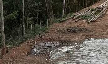 Imagem 5: Terreno sensacional com documentação em ordem, rua asfaltada e localizado a 10 minutos do