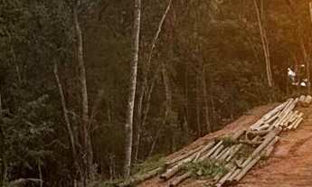 Imagem 6: Terreno sensacional com documentação em ordem, rua asfaltada e localizado a 10 minutos do