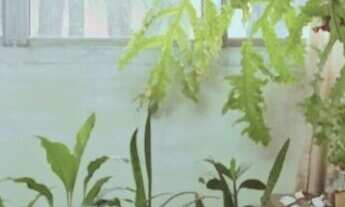 Imagem 4: Apartamento com 52m² com 2 dormitorios e uma vaga de garagem - Agua Funda - A VENDA!!!