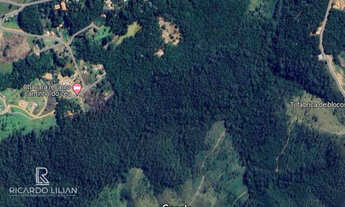 Imagem: Area rural com 54 hectares e 50 hectares