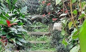 Imagem 2: Casa localizada a 700 metros do metro conceição.A VENDA!!!