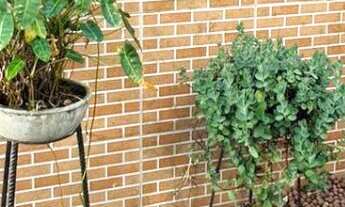 Imagem 5: Casa à venda no bairro Valentina de Figueiredo - João Pessoa/PB