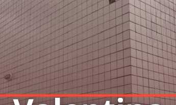 Imagem: Apartamento à venda no bairro Valentina