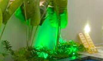 Imagem: Apartamento à venda no bairro BAYEUX