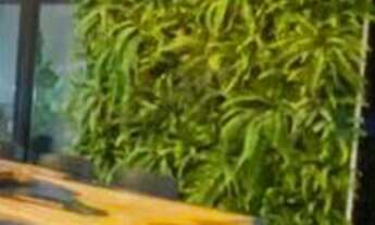 Imagem 7: Apartamento à venda no bairro BAYEUX - João Pessoa/PB