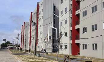 Imagem: Bosque Lausanne - Fase final de entrega