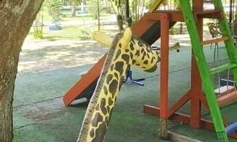 Imagem 4: Última Chance Black Week: Casa-Sítio 8.549m² Mobiliada em Condomínio Fechado na BR-316!