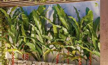 Imagem 2: Lançamento Mundi Rooftop: Condomínio Horizontal com Casas Espaçosas e Rooftop em Belém