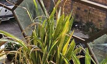 Imagem 4: Casa à Venda no 40 Horas – 3/4, 2 Suítes, Sacada e Garagem em Rua Asfaltada