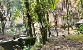 Imagem 6: Sítio à Venda em Itariri, SP