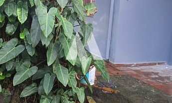 Imagem 7: Praia Grande Locação comercial- Sobrado 310m², garagem para 4 ou mais veículos!