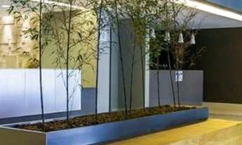 Imagem: Sala-Comercial-para-Venda-em-Vila-Belmiro-Santos-SP